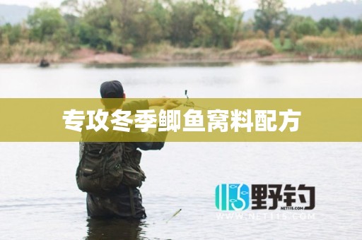 专攻冬季鲫鱼窝料配方
