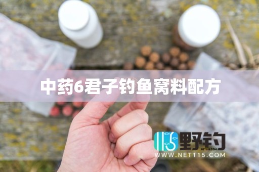 中药6君子钓鱼窝料配方