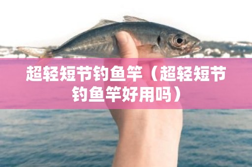超轻短节钓鱼竿（超轻短节钓鱼竿好用吗）