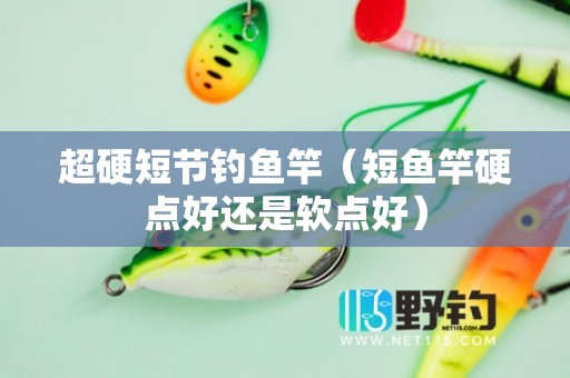 超硬短节钓鱼竿（短鱼竿硬点好还是软点好）