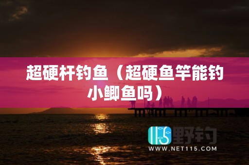 超硬杆钓鱼（超硬鱼竿能钓小鲫鱼吗）