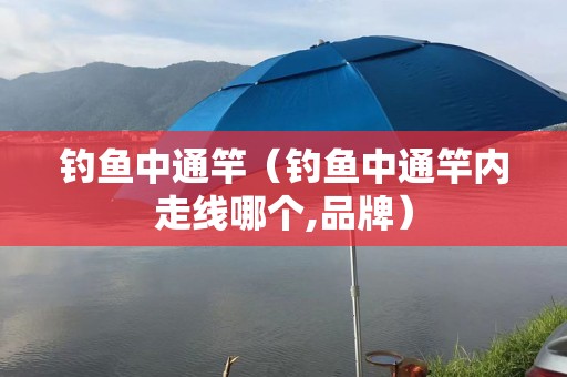 钓鱼中通竿（钓鱼中通竿内走线哪个,品牌）