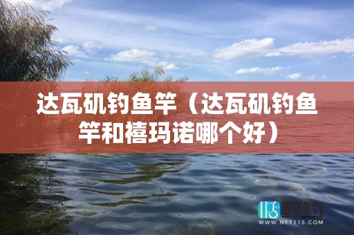达瓦矶钓鱼竿（达瓦矶钓鱼竿和禧玛诺哪个好）