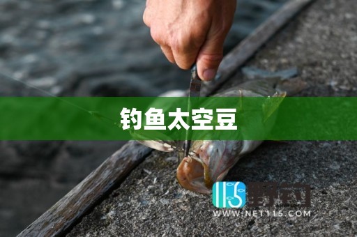 钓鱼太空豆