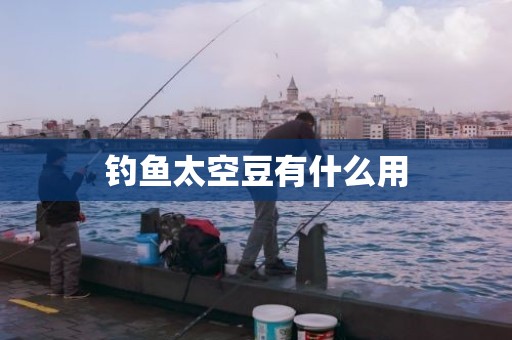 钓鱼太空豆有什么用