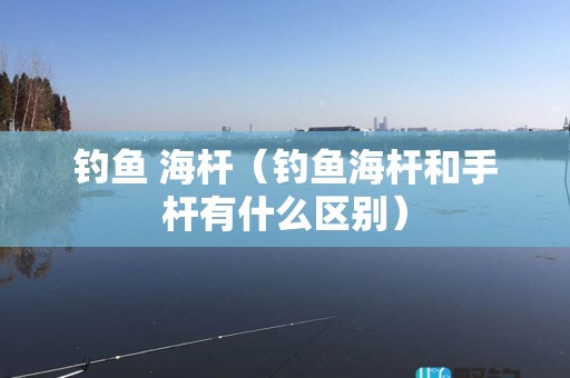 钓鱼 海杆（钓鱼海杆和手杆有什么区别）