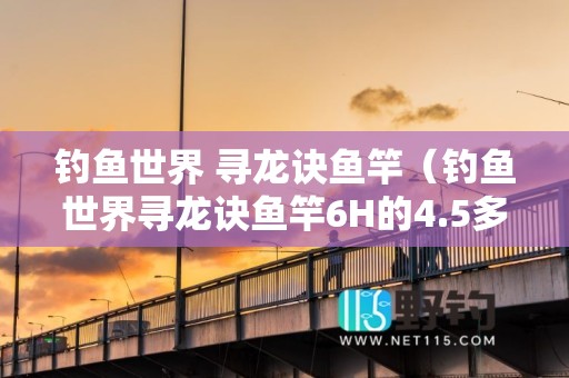 钓鱼世界 寻龙诀鱼竿（钓鱼世界寻龙诀鱼竿6H的4.5多少钱）