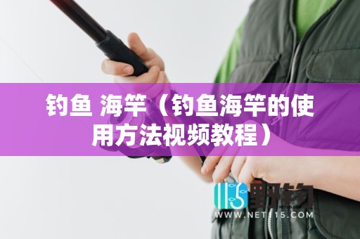 钓鱼 海竿（钓鱼海竿的使用方法视频教程）
