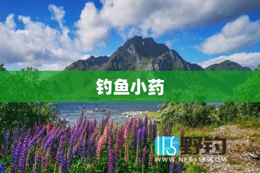 钓鱼小药