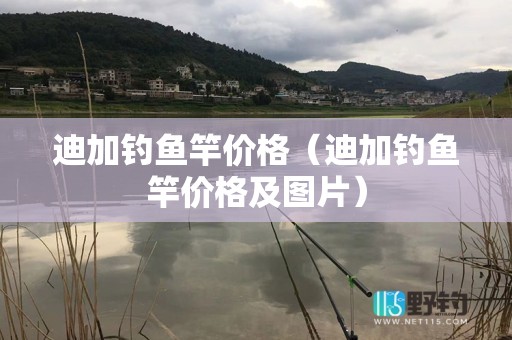 迪加钓鱼竿价格（迪加钓鱼竿价格及图片）