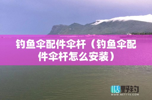 钓鱼伞配件伞杆（钓鱼伞配件伞杆怎么安装）