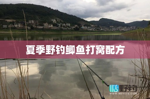 夏季野钓鲫鱼打窝配方