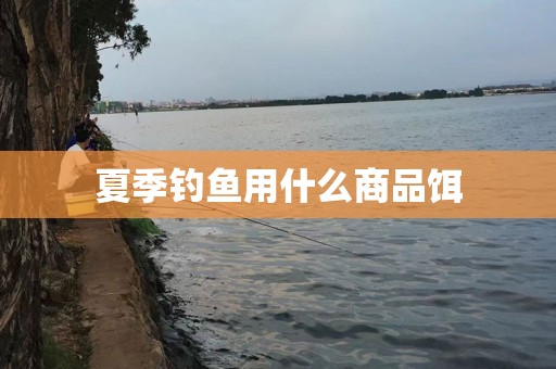 夏季钓鱼用什么商品饵