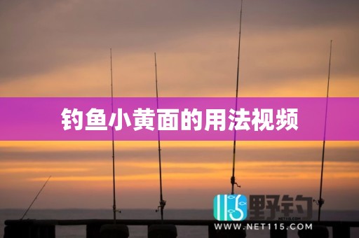 钓鱼小黄面的用法视频
