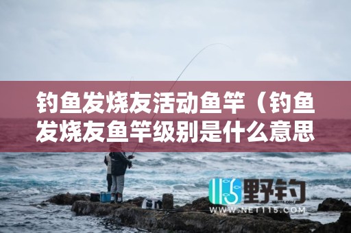 钓鱼发烧友活动鱼竿（钓鱼发烧友鱼竿级别是什么意思）