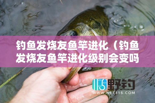 钓鱼发烧友鱼竿进化（钓鱼发烧友鱼竿进化级别会变吗）