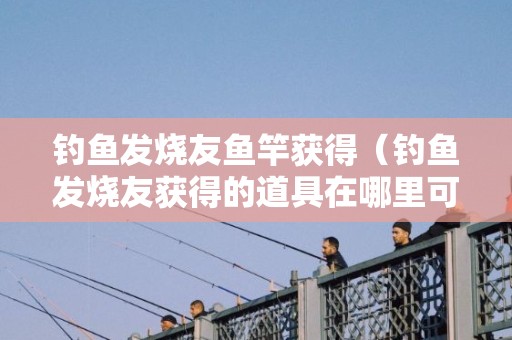 钓鱼发烧友鱼竿获得（钓鱼发烧友获得的道具在哪里可以看到）