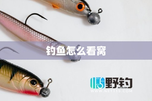 钓鱼怎么看窝