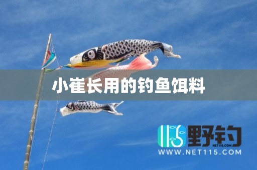 小崔长用的钓鱼饵料