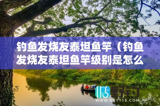 钓鱼发烧友泰坦鱼竿（钓鱼发烧友泰坦鱼竿级别是怎么回事）
