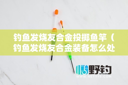 钓鱼发烧友合金投掷鱼竿（钓鱼发烧友合金装备怎么处理）