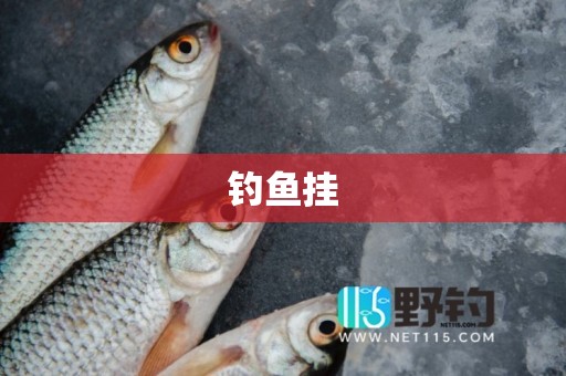 钓鱼挂