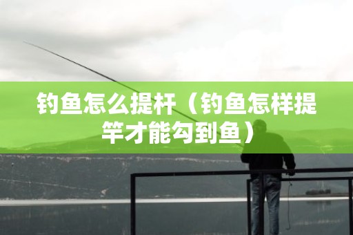 钓鱼怎么提杆（钓鱼怎样提竿才能勾到鱼）