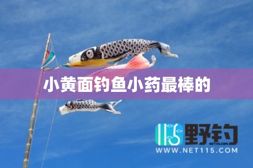 小黄面钓鱼小药最棒的