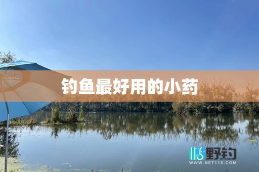 钓鱼最好用的小药