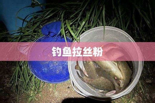 钓鱼拉丝粉