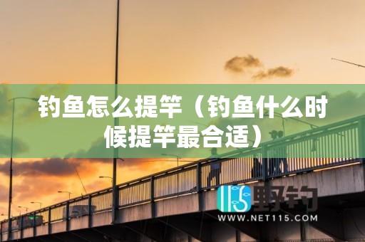 钓鱼怎么提竿（钓鱼什么时候提竿最合适）