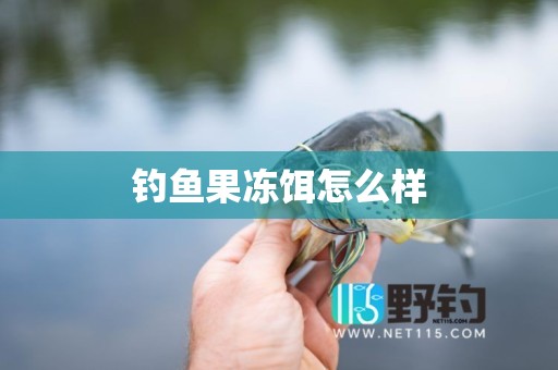 钓鱼果冻饵怎么样