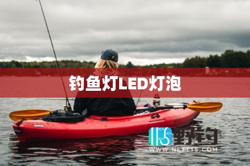钓鱼灯LED灯泡