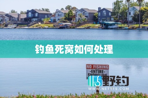 钓鱼死窝如何处理