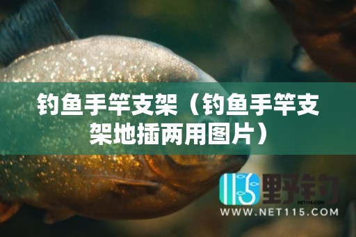 钓鱼手竿支架（钓鱼手竿支架地插两用图片）