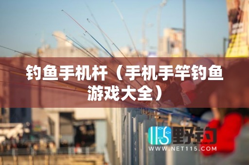 钓鱼手机杆（手机手竿钓鱼游戏大全）