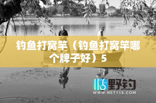 钓鱼打窝竿（钓鱼打窝竿哪个牌子好）5