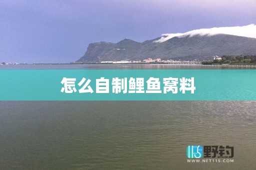 怎么自制鲤鱼窝料