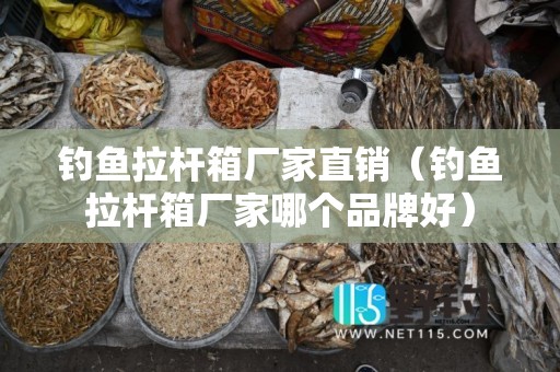 钓鱼拉杆箱厂家直销（钓鱼拉杆箱厂家哪个品牌好）
