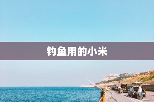 钓鱼用的小米