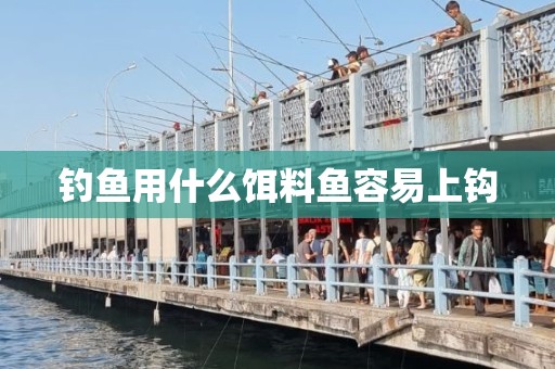 钓鱼用什么饵料鱼容易上钩