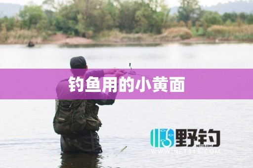 钓鱼用的小黄面