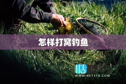 怎样打窝钓鱼