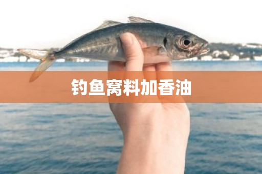 钓鱼窝料加香油