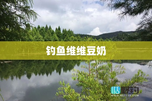 钓鱼维维豆奶