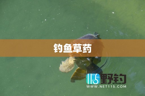钓鱼草药