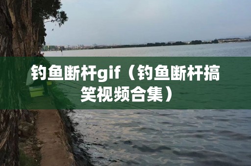 钓鱼断杆gif（钓鱼断杆搞笑视频合集）