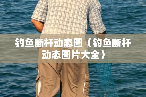 钓鱼断杆动态图（钓鱼断杆动态图片大全）