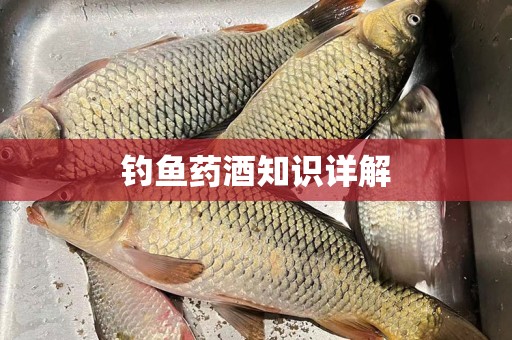 钓鱼药酒知识详解
