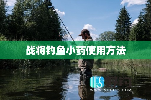 战将钓鱼小药使用方法